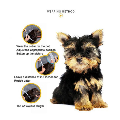 Fleaxo™ - Natural Calming Dog Collar (8 Months Tick & Flea Free)